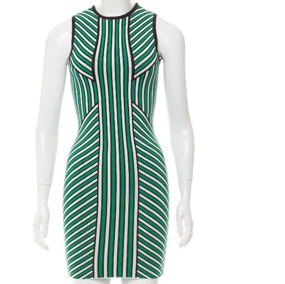 Torn by Ronny Kobo - Green and White Striped Dress